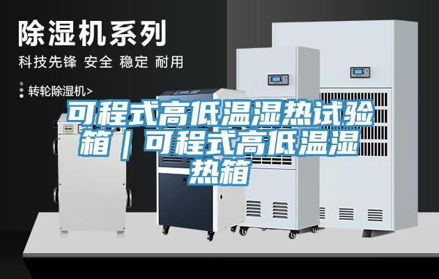 可程式高低溫濕熱試驗箱|可程式高低溫濕熱箱