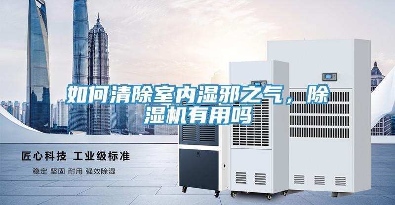 如何清除室內濕邪之氣,除濕機有用嗎