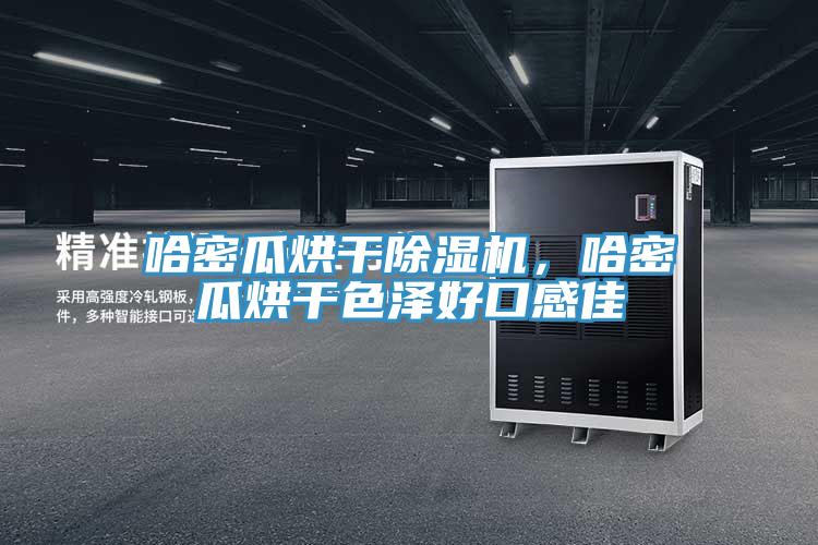 哈密瓜烘干除濕機，哈密瓜烘干色澤好口感佳
