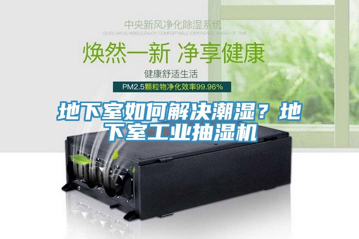 地下室如何解決潮濕？地下室工業抽濕機