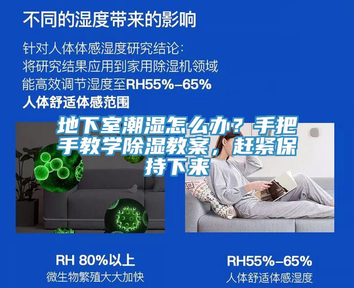 地下室潮濕怎么辦？手把手教學除濕教案，趕緊保持下來