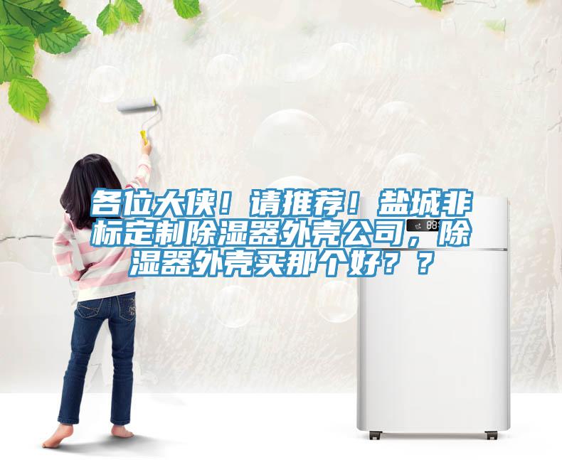 各位大俠！請(qǐng)推薦！鹽城非標(biāo)定制除濕器外殼公司，除濕器外殼買那個(gè)好？？