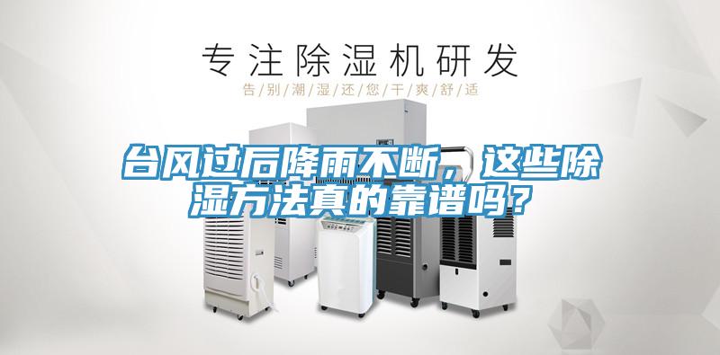 臺(tái)風(fēng)過后降雨不斷,這些除濕方法真的靠譜嗎?