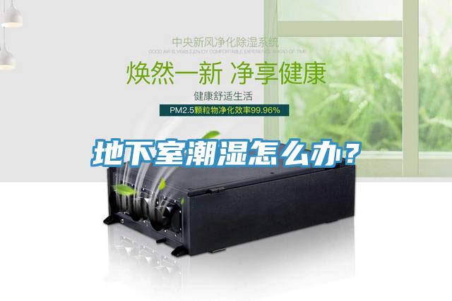地下室潮濕怎么辦？