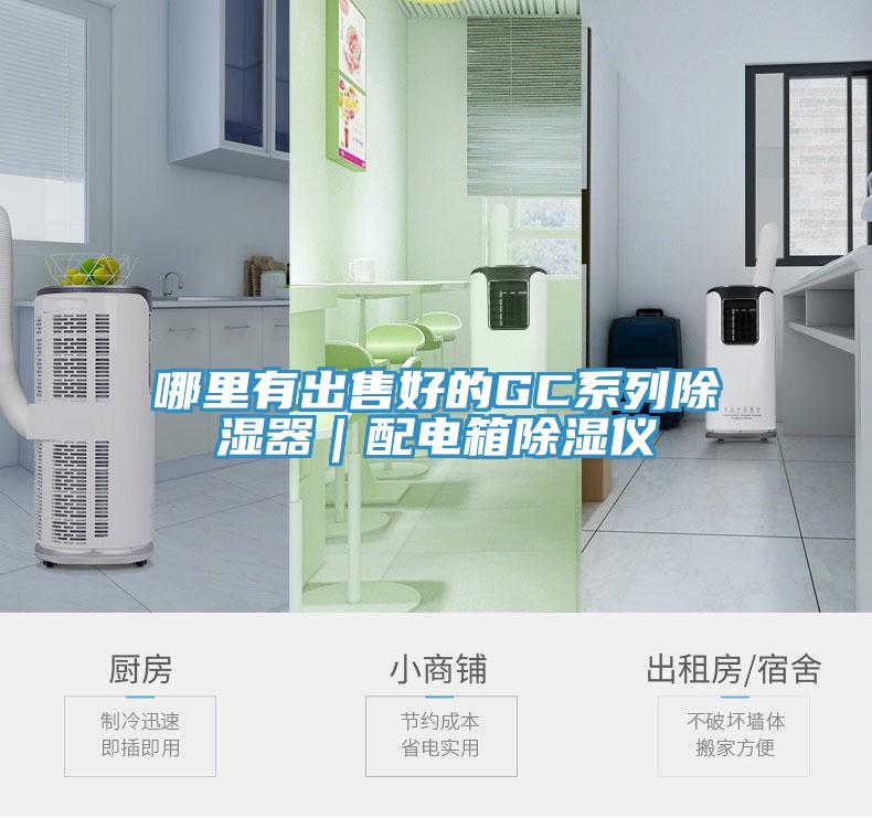 哪里有出售好的GC系列除濕器|配電箱除濕儀
