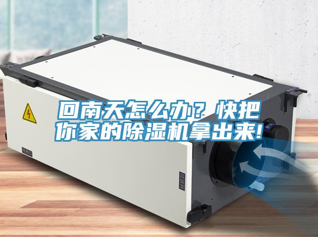 回南天怎么辦?快把你家的除濕機拿出來!