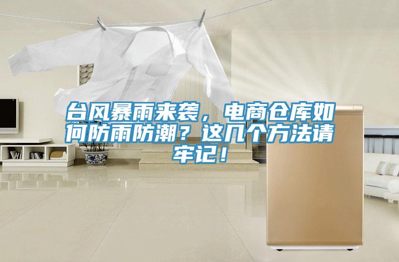 臺風暴雨來襲,電商倉庫如何防雨防潮?這幾個方法請牢記!