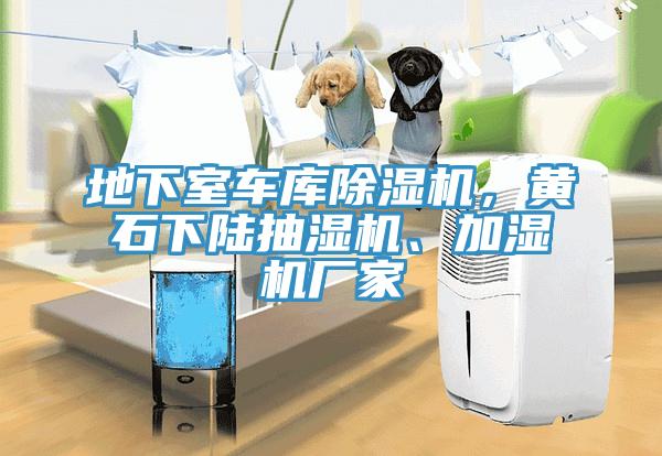 地下室車庫除濕機(jī)，黃石下陸抽濕機(jī)、加濕機(jī)廠家