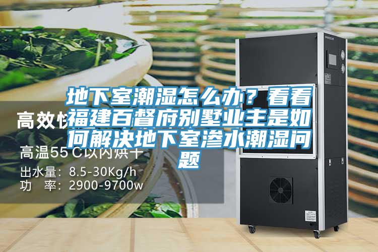 地下室潮濕怎么辦？看看福建百督府別墅業主是如何解決地下室滲水潮濕問題