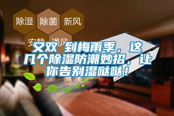 又雙叒到梅雨季，這幾個(gè)除濕防潮妙招，讓你告別濕噠噠！