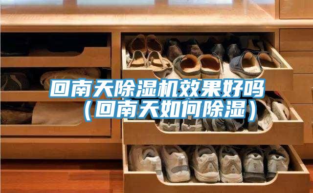 回南天除濕機效果好嗎(回南天如何除濕)