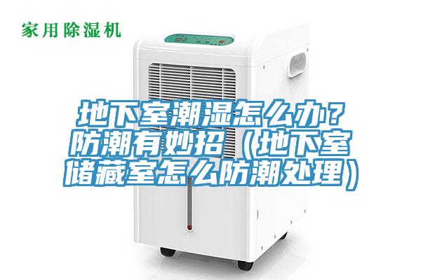 地下室潮濕怎么辦？防潮有妙招（地下室儲藏室怎么防潮處理）