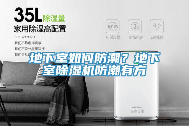 地下室如何防潮？地下室除濕機防潮有方
