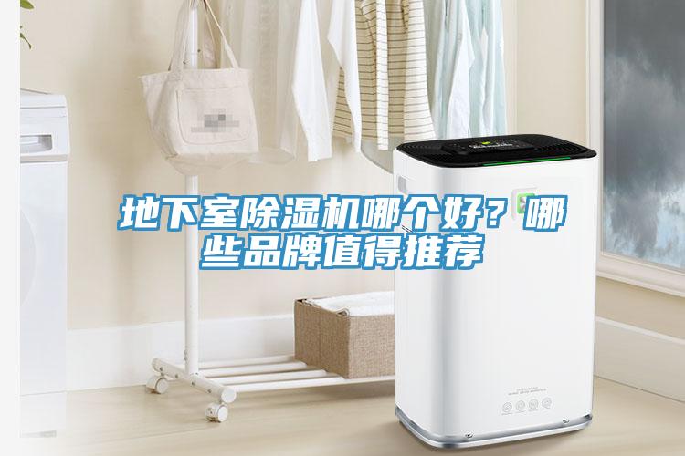 地下室除濕機哪個好?哪些品牌值得推薦