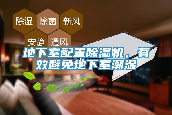 地下室配置除濕機，有效避免地下室潮濕