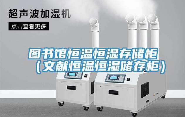 圖書館恒溫恒濕存儲柜(文獻恒溫恒濕儲存柜)