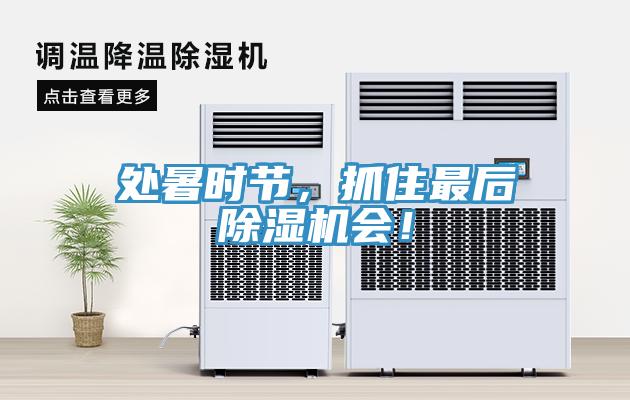 處暑時節,抓住最后除濕機會!