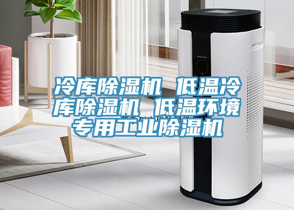 冷庫除濕機 低溫冷庫除濕機 低溫環境專用工業除濕機