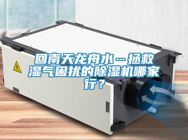 回南天龍舟水…拯救濕氣困擾的除濕機哪家行?