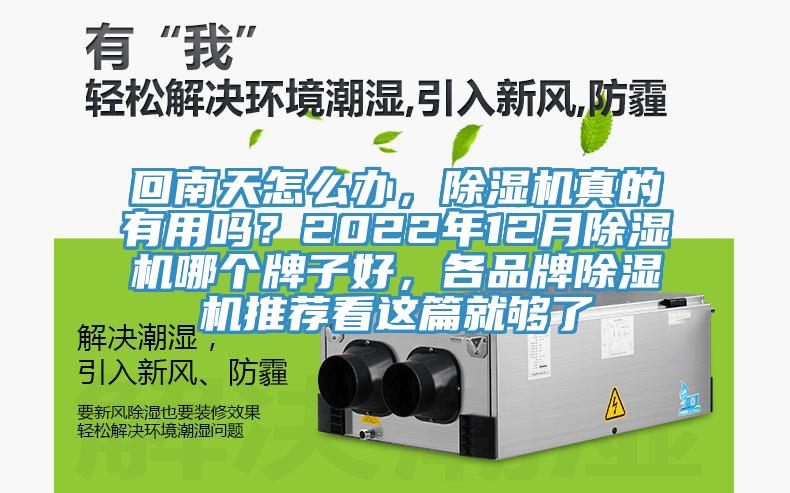 回南天怎么辦,除濕機真的有用嗎?2022年12月除濕機哪個牌子好,各品牌除濕機推薦看這篇就夠了