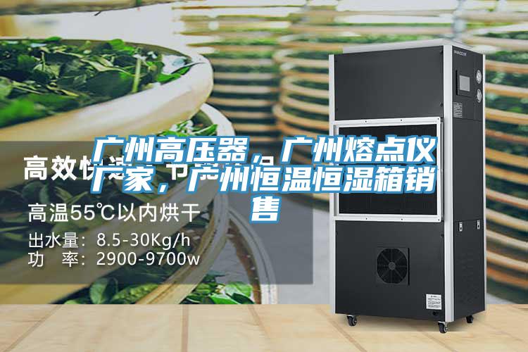 廣州高壓器，廣州熔點儀廠家，廣州恒溫恒濕箱銷售