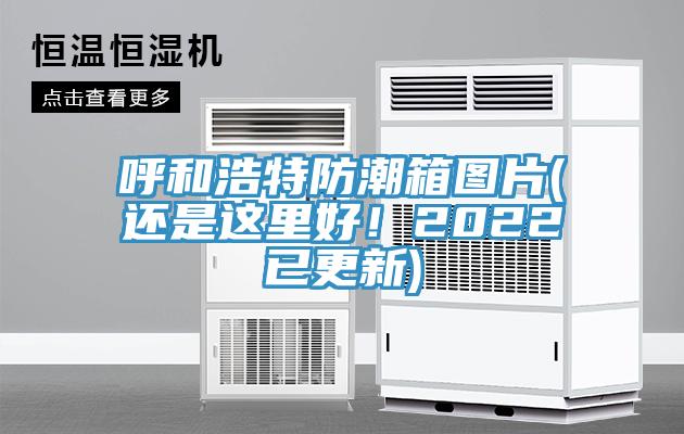 呼和浩特防潮箱圖片(還是這里好!2022已更新)