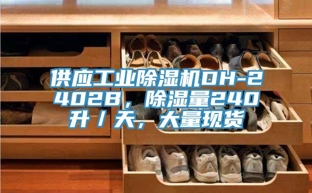 供應工業除濕機DH-2402B，除濕量240升／天，大量現貨