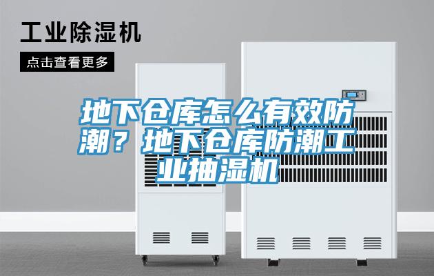地下倉庫怎么有效防潮？地下倉庫防潮工業(yè)抽濕機(jī)