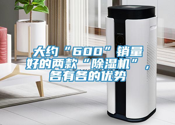 大約“600”銷(xiāo)量好的兩款“除濕機(jī)”，各有各的優(yōu)勢(shì)