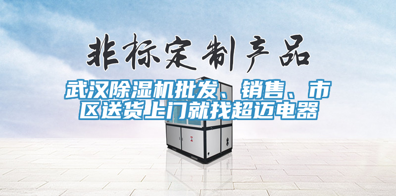 武漢除濕機批發、銷售、市區送貨上門就找超邁電器