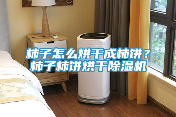 柿子怎么烘干成柿餅？柿子柿餅烘干除濕機(jī)