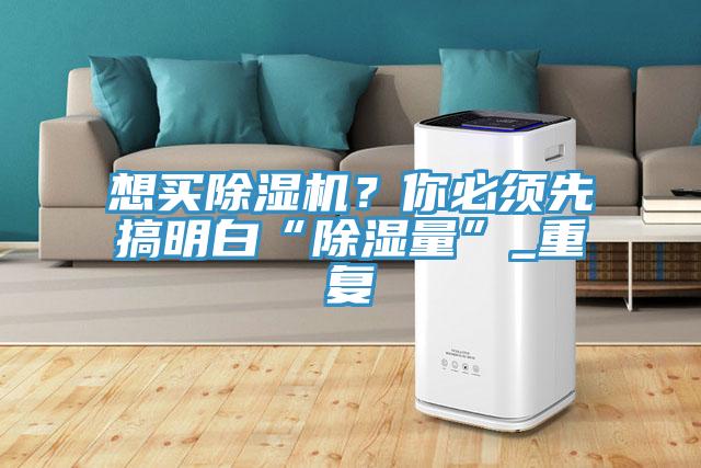 想買除濕機?你必須先搞明白“除濕量”_重復(fù)