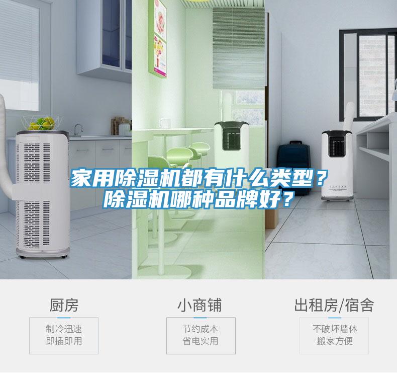 家用除濕機都有什么類型?除濕機哪種品牌好?