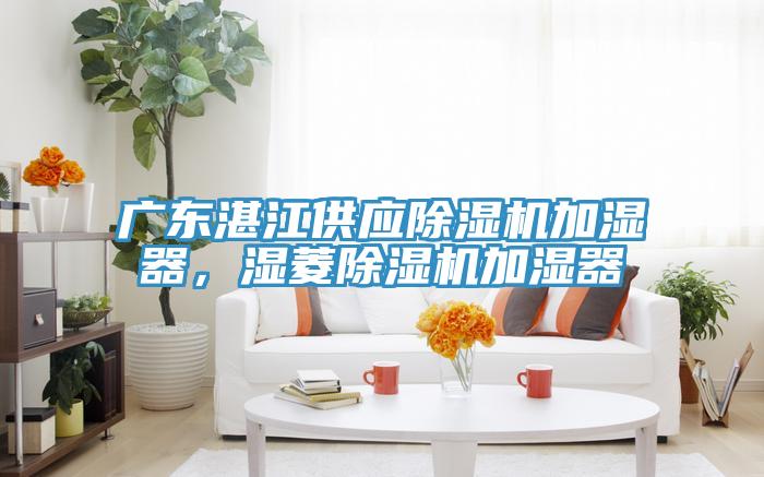 廣東湛江供應除濕機加濕器，濕菱除濕機加濕器