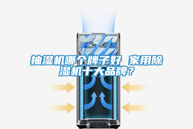 抽濕機哪個牌子好 家用除濕機十大品牌?