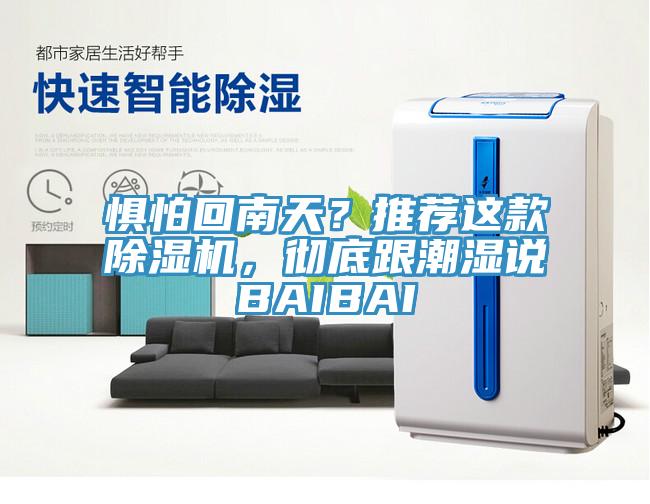 懼怕回南天?推薦這款除濕機,徹底跟潮濕說BAIBAI