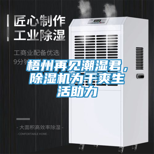 梧州再見潮濕君,除濕機為干爽生活助力
