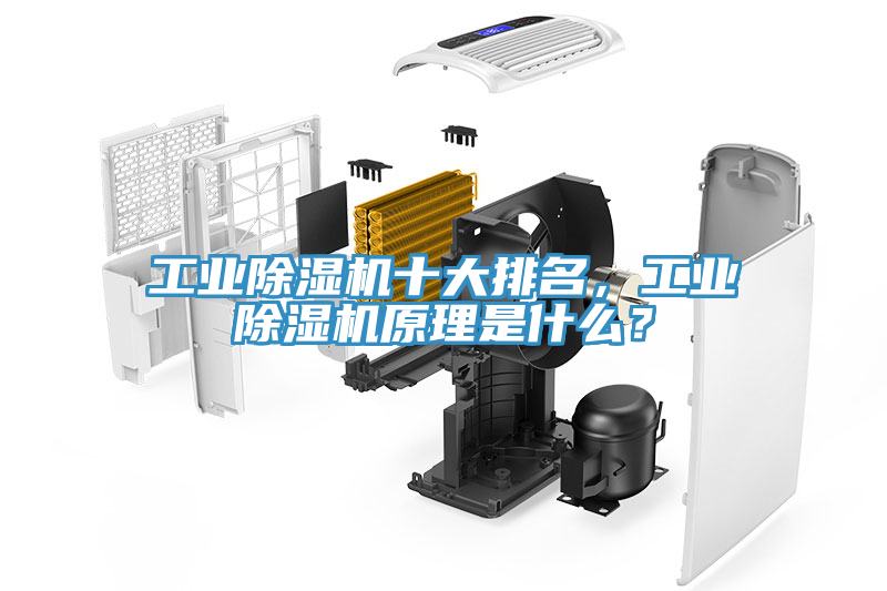 工業除濕機十大排名，工業除濕機原理是什么？