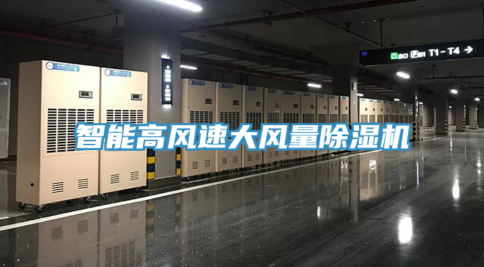 智能高風(fēng)速大風(fēng)量除濕機(jī)