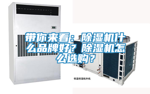 帶你來看：除濕機什么品牌好？除濕機怎么選購？