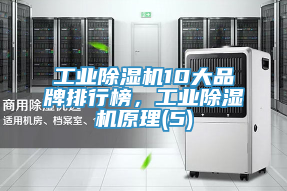 工業除濕機10大品牌排行榜，工業除濕機原理(5)