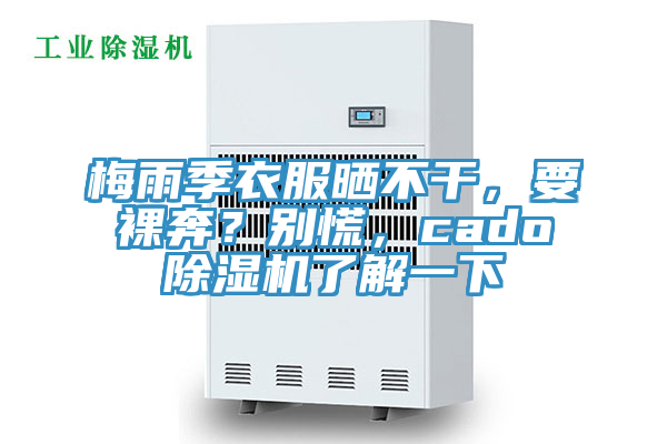 梅雨季衣服曬不干，要裸奔？別慌，cado除濕機了解一下
