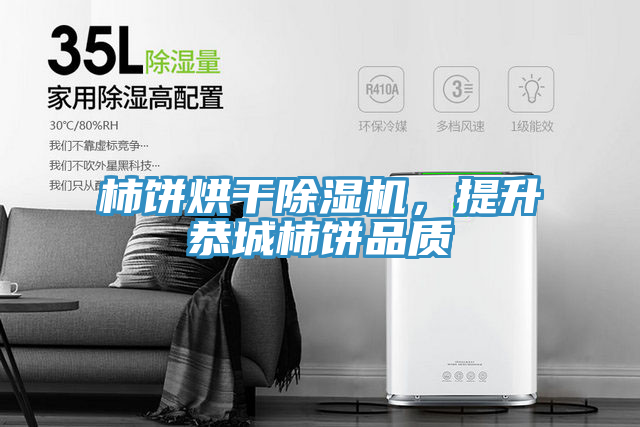 柿餅烘干除濕機，提升恭城柿餅品質