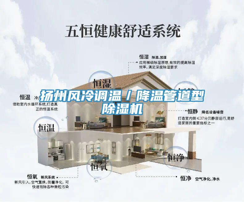 揚州風冷調溫/降溫管道型除濕機