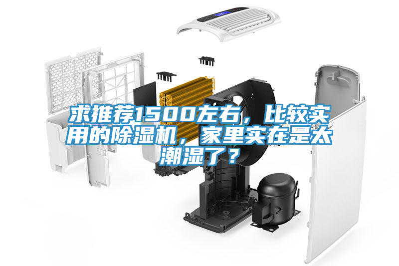 求推薦1500左右,比較實用的除濕機,家里實在是太潮濕了?