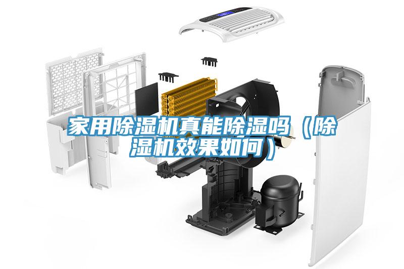家用除濕機真能除濕嗎(除濕機效果如何)
