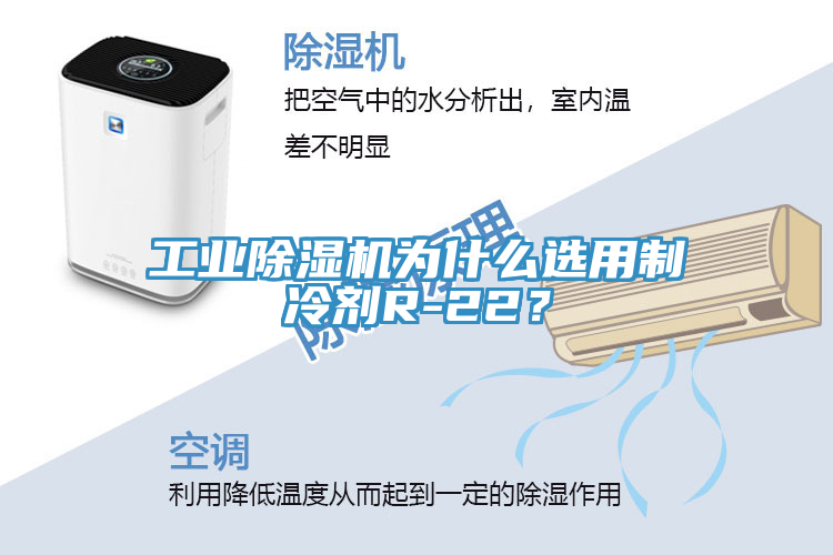 工業除濕機為什么選用制冷劑R-22?