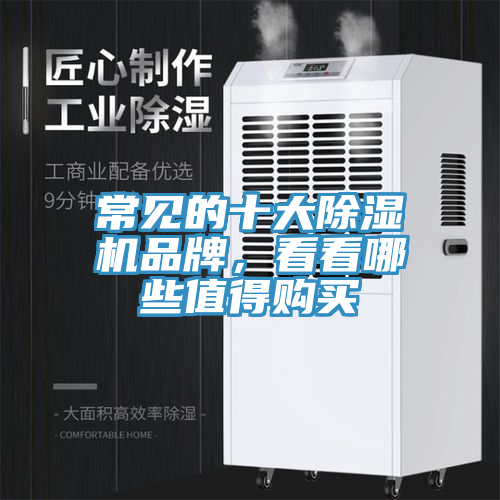 常見的十大除濕機品牌,看看哪些值得購買