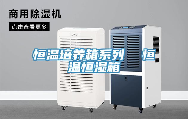 恒溫培養箱系列 恒溫恒濕箱