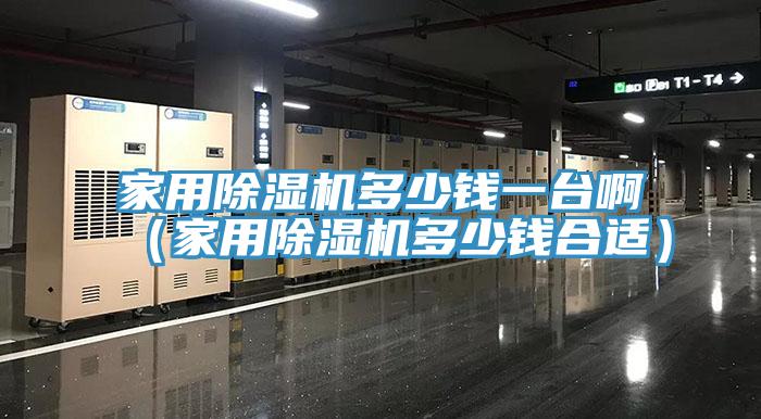 家用除濕機多少錢一臺?。矣贸凉駲C多少錢合適）